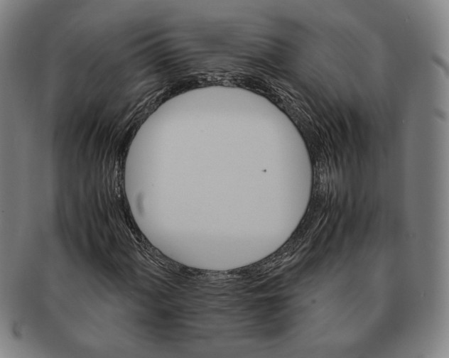 X0000091221060200708301446