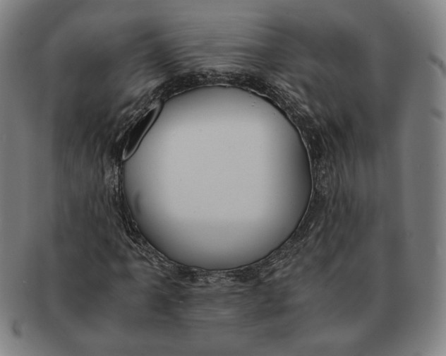 X0000091221061200708301446