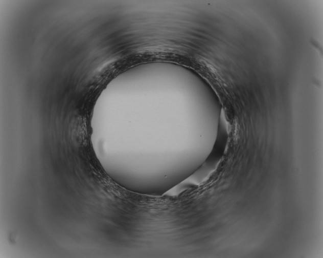 X0000091221062200708301446