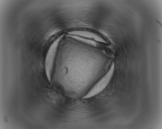 X0000091221063200708301446