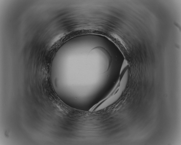 X0000091221064200708301446