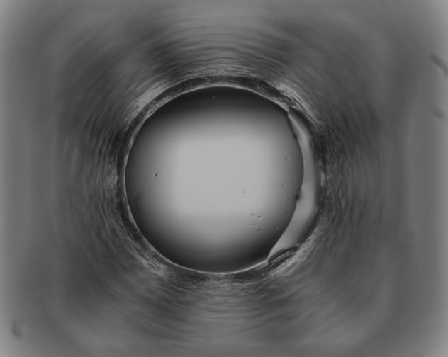 X0000091221065200708301446