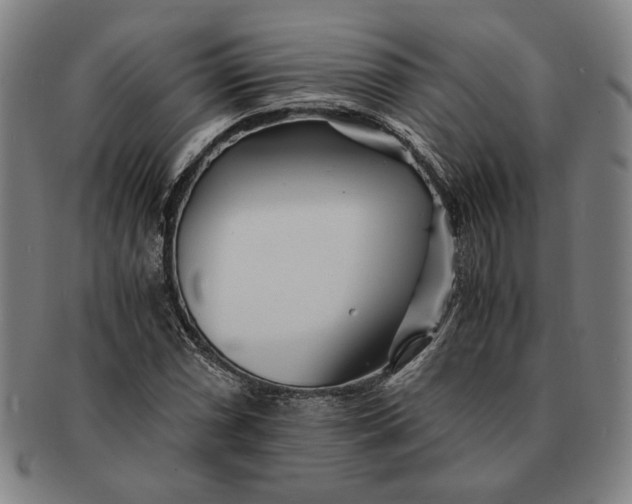 X0000091221066200708301446