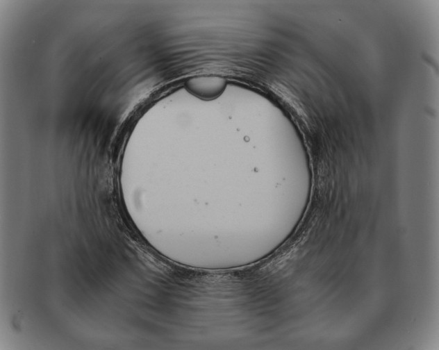 X0000091221067200708301446