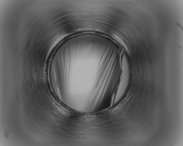 X0000091221068200708301446