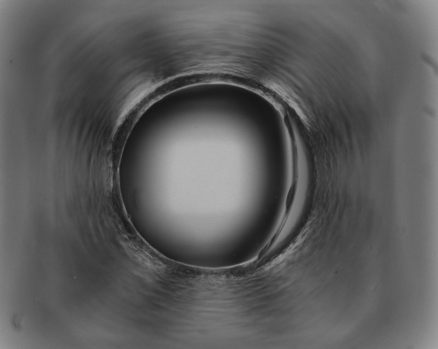 X0000091221069200708301446