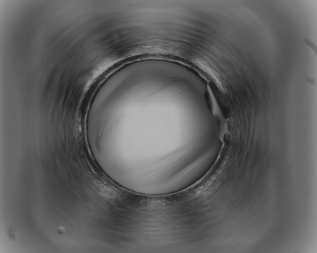 X0000091221070200708301446