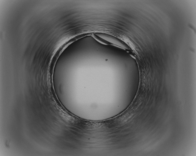 X0000091221072200708301446