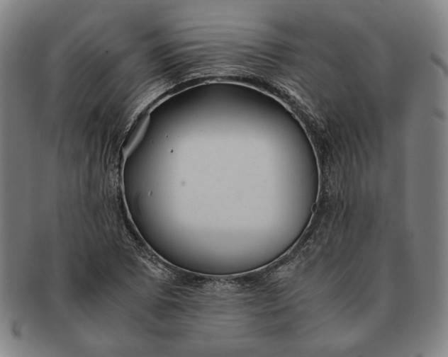 X0000091221073200708301446