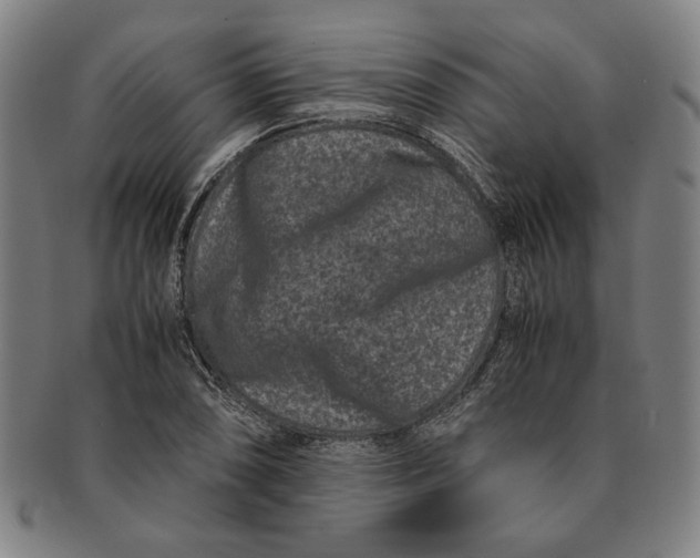 X0000091221074200708301446