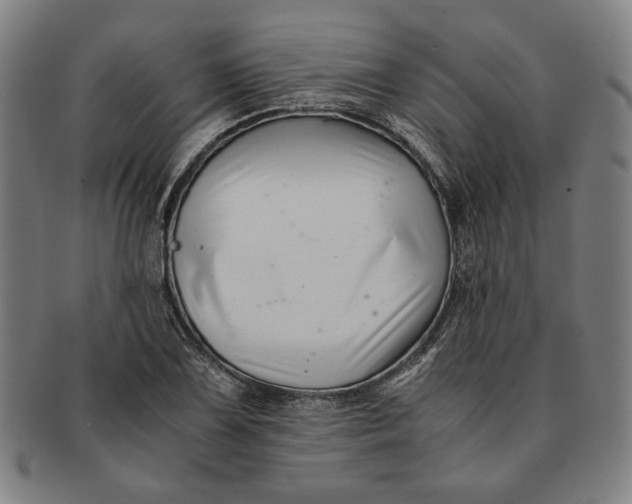 X0000091221075200708301446