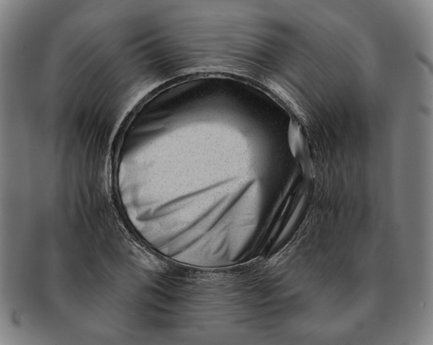 X0000091221076200708301446