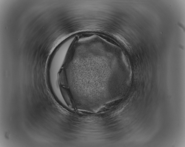 X0000091221077200708301446