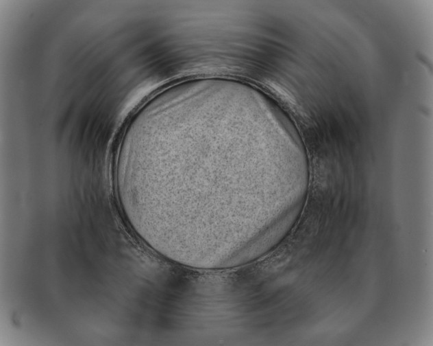 X0000091221078200708301446