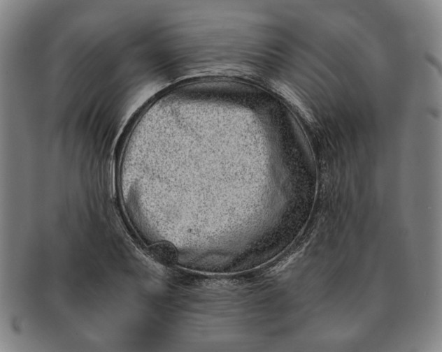 X0000091221079200708301446