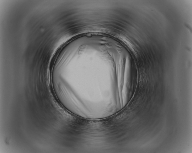 X0000091221080200708301446