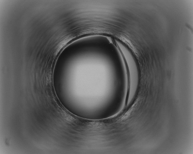 X0000091221081200708301446