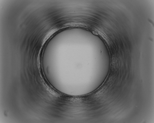 X0000091221082200708301446