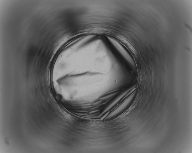 X0000091221083200708301446