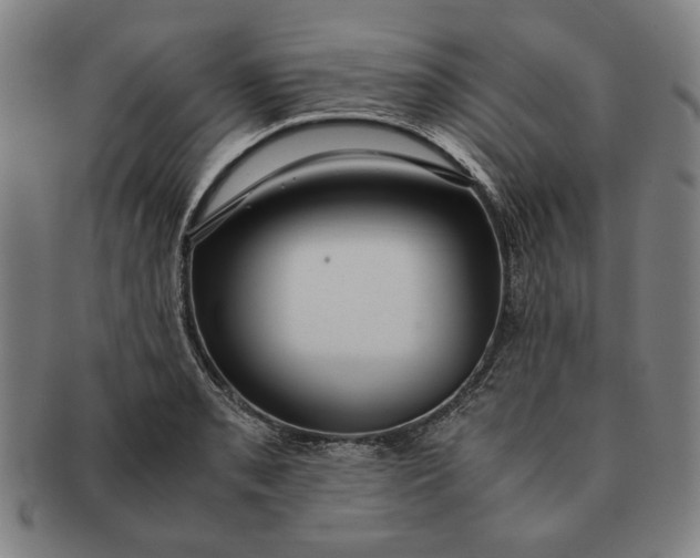 X0000091221085200708301446