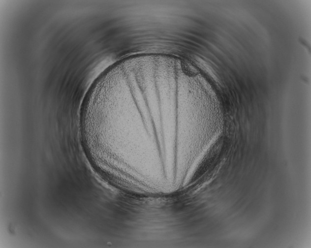 X0000091221087200708301446