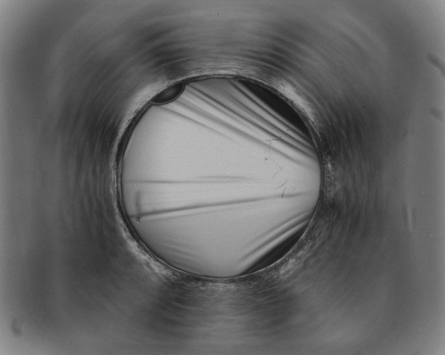 X0000091221088200708301446