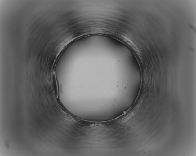 X0000091221089200708301446