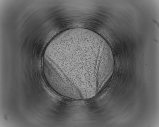 X0000091221090200708301446