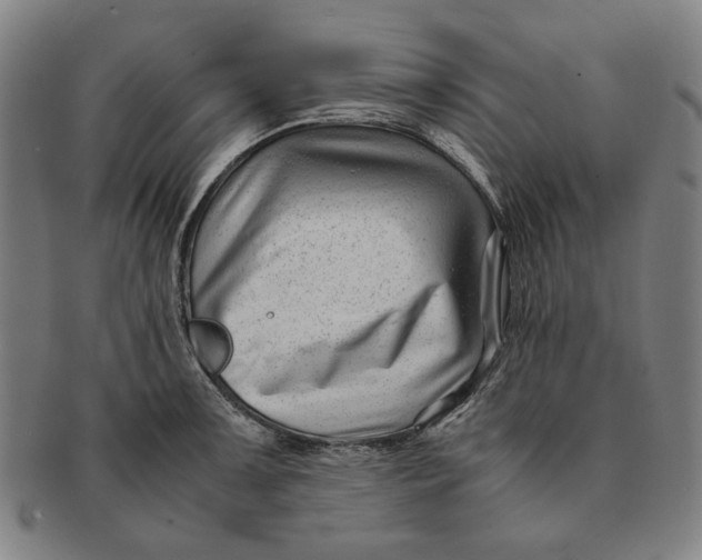 X0000091221091200708301446