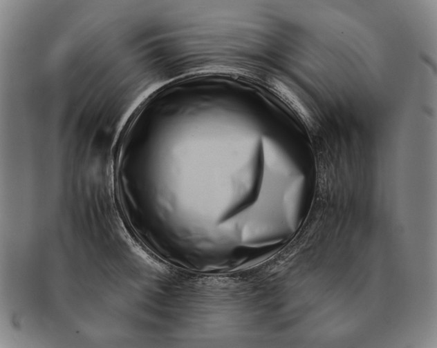 X0000091221092200708301446