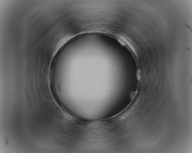 X0000091221093200708301446