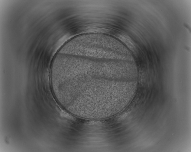 X0000091221094200708301446