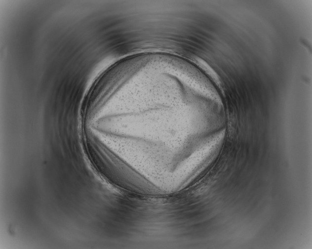 X0000091221096200708301446