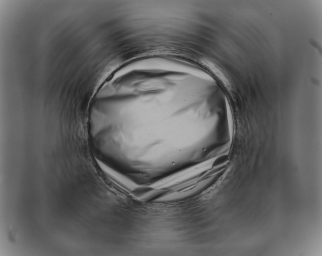 X0000091221097200708301446