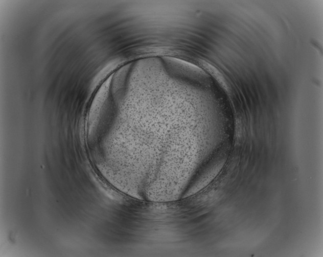 X0000091221098200708301446