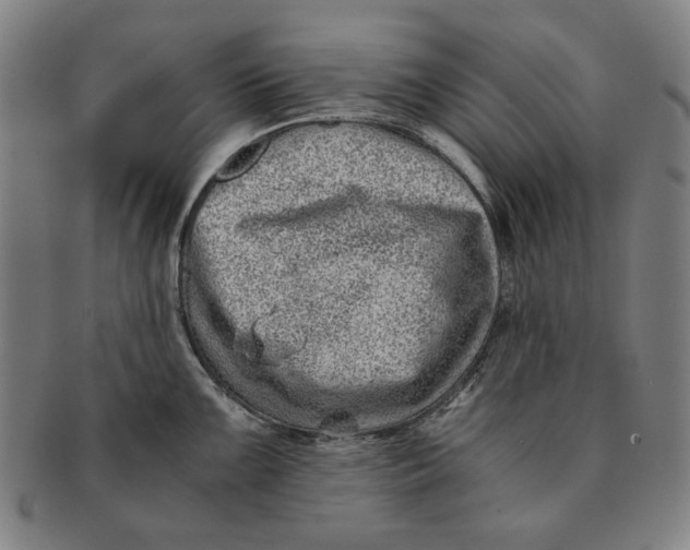 X0000091221099200708301446