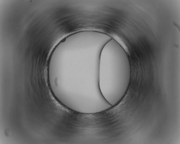 X0000091221100200708301446