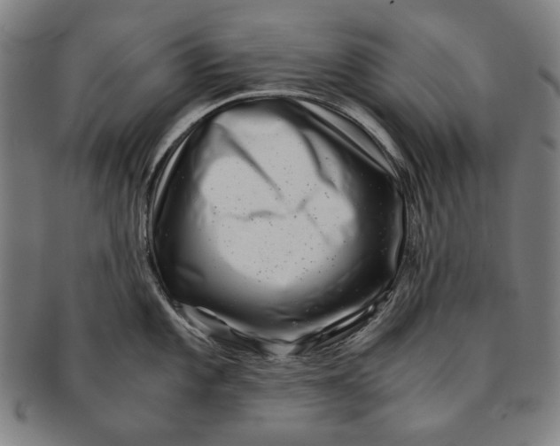 X0000091221101200708301446