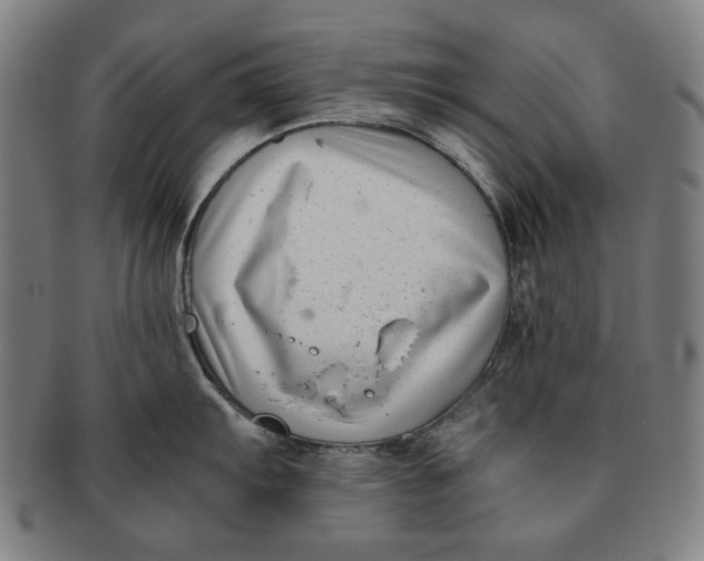 X0000091221103200708301446