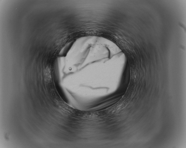 X0000091221106200708301445