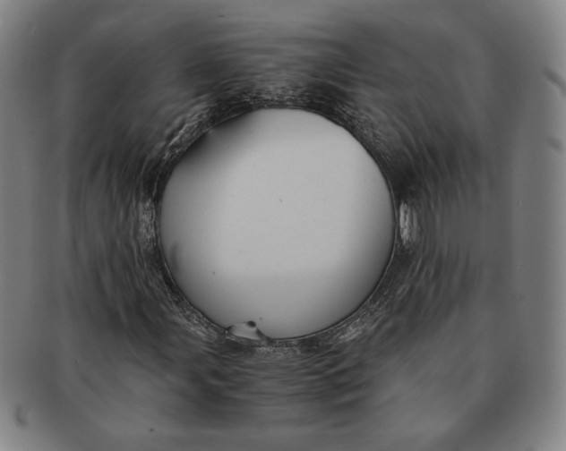 X0000091221107200708301445