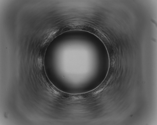 X0000091221108200708301445