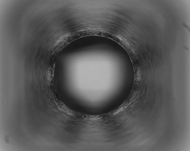 X0000091221110200708301445