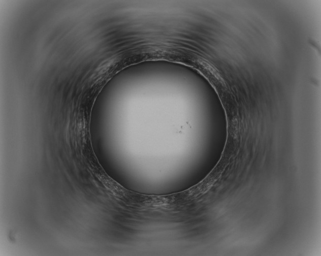 X0000091221111200708301445