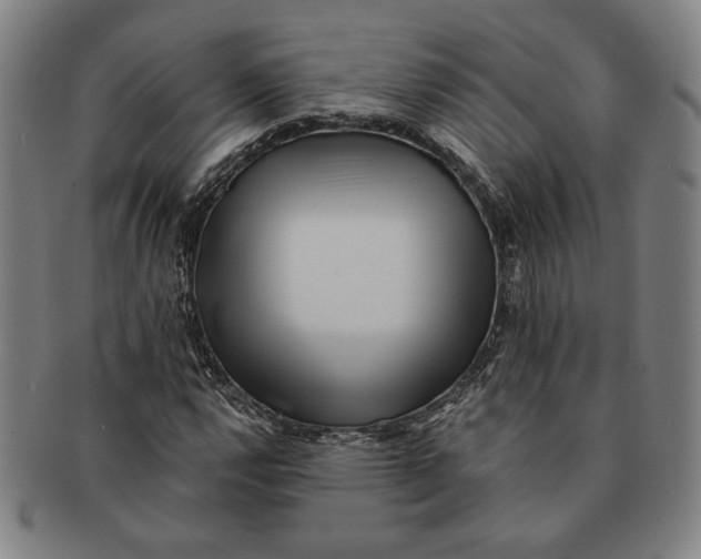 X0000091221112200708301445