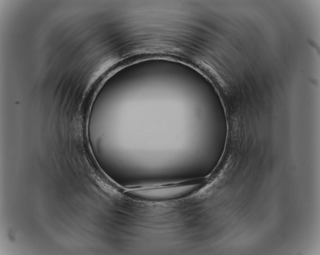 X0000091221114200708301445