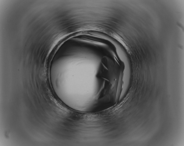 X0000091221116200708301445