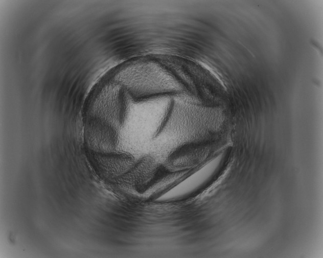 X0000091221117200708301445