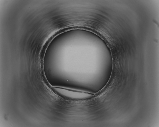 X0000091221118200708301445