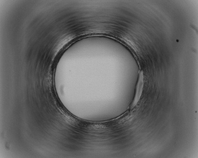 X0000091221119200708301445